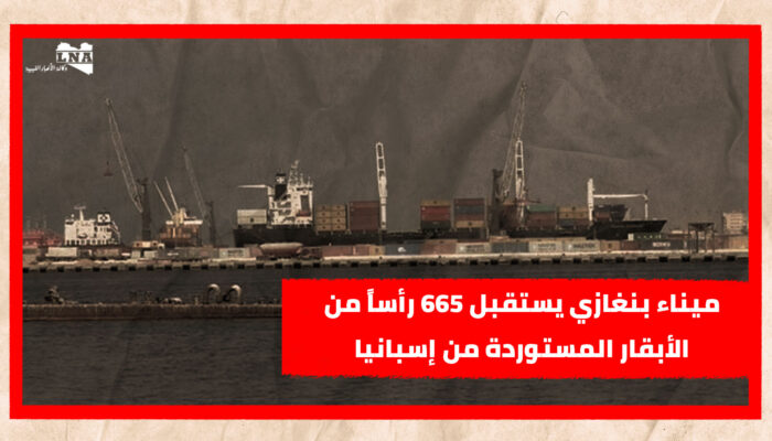 ميناء بنغازي يستقبل 665 رأساً من الأبقار المستوردة من إسبانيا