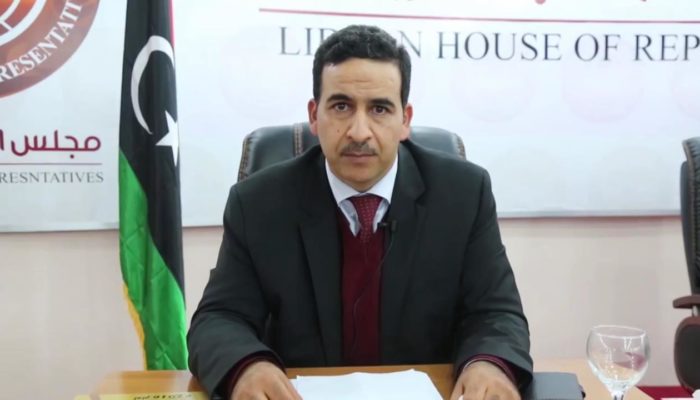 النويري يبحث مع السفير الأمريكي الجهود الدولية لإنهاء الأزمة الليبية