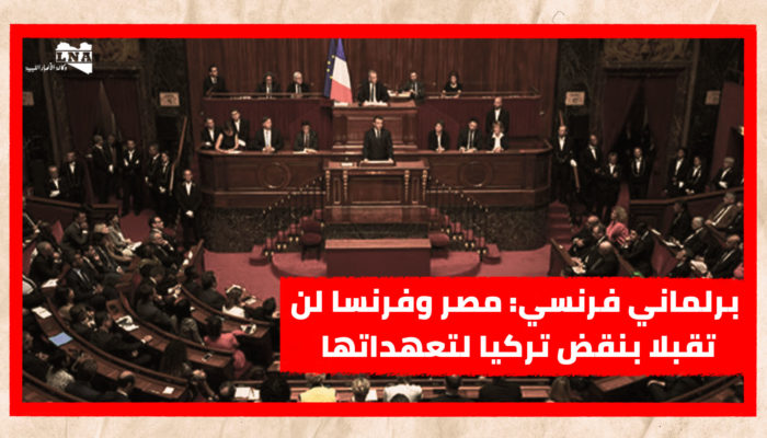 برلماني فرنسي: مصر وفرنسا لن تقبلا بنقض تركيا لتعهداتها